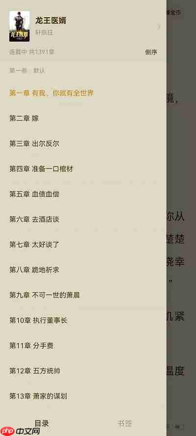 番茄小说怎么看目录