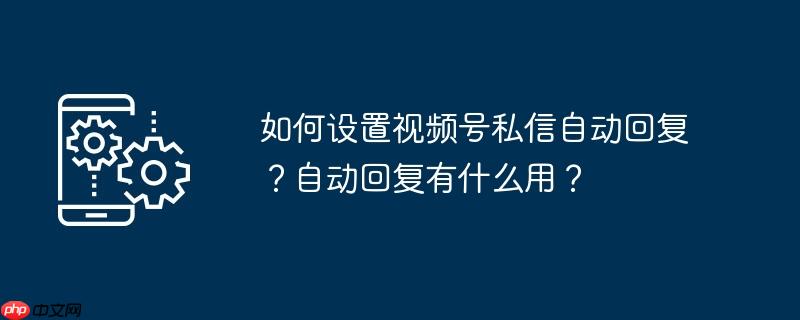 如何设置视频号私信自动回复？自动回复有什么用？