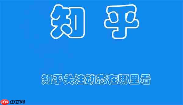 知乎关注动态在哪里看