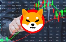 Shiba INU（SHIB）与下行风险完整合并