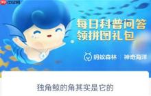 支付宝神奇海洋独角鲸的角其实是什么