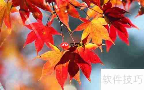 提升效率：微商必备订单处理软件推荐
