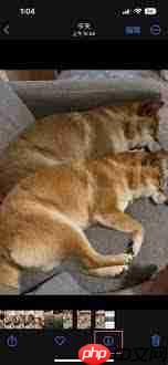 如何查看iphone别人照片拍摄时间