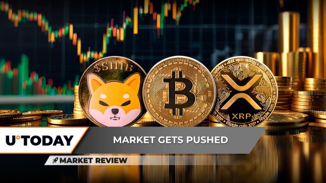 也许是Shiba Inu最近市场历史上最关键的点之一