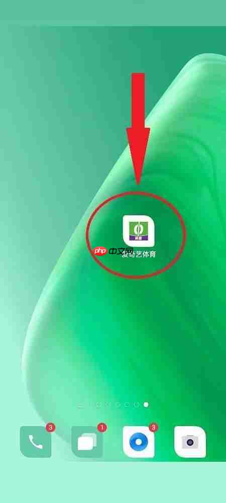 爱奇艺体育比赛数据在哪里看