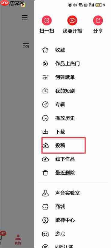 全民k歌投稿是什么意思