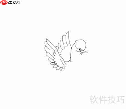 学会画天鹅，掌握技巧与步骤