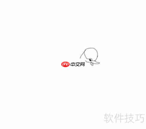 学会画天鹅，掌握技巧与步骤