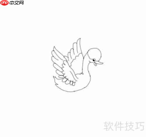 学会画天鹅，掌握技巧与步骤