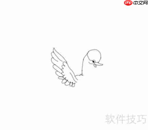 学会画天鹅，掌握技巧与步骤