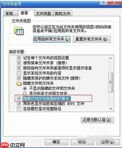 Win10后缀名隐藏了怎么打开？