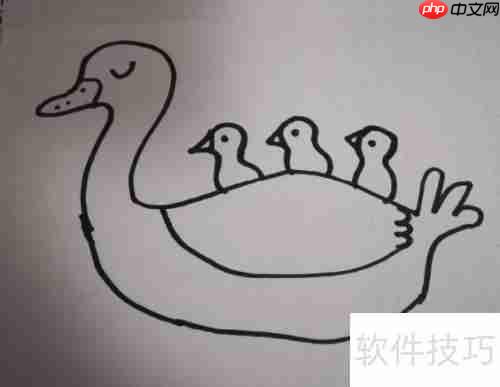学会这几种天鹅简笔画，让你的绘画更生动！