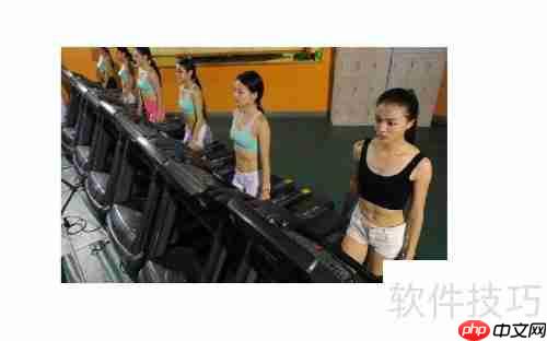 健身健美：打造完美体型的科学方法