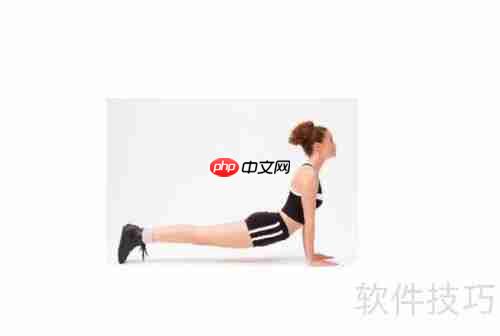 健身健美：打造完美体型的科学方法