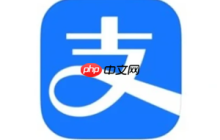 支付宝网页版登录入口 支付宝网页版可以转账吗