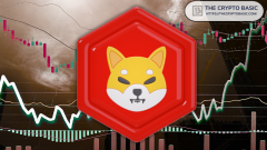 Shiba Inu (Shib) can remove a zero and mark an unprecedented price rally