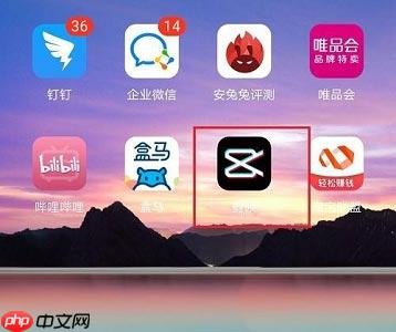 剪映怎么隐藏性别?剪映隐藏性别方法