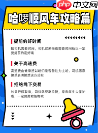 哈啰打车如何预约次日用车