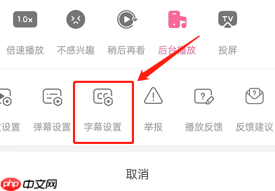 哔哩哔哩短视频怎么开启字幕？哔哩哔哩短视频开启字幕方法