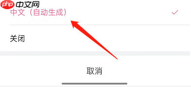 哔哩哔哩短视频怎么开启字幕？哔哩哔哩短视频开启字幕方法