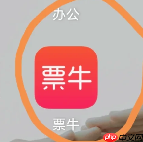 票牛什么时候出票 票牛APP一直显示待发货