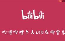哔哩哔哩个人UID在哪里看