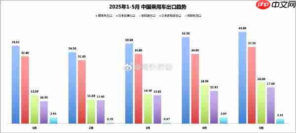 2025年5月乘用车出口持续走高 新能源同比激增115.6%