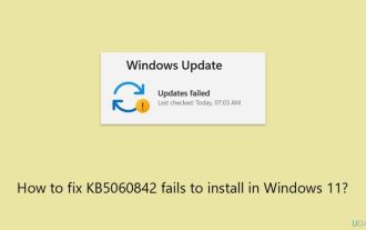 How to fix KB5060842 fails to install in Windows 11?