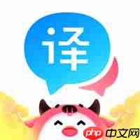 可以实时翻译视频字幕的软件