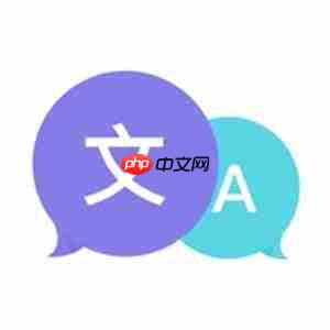 可以实时翻译视频字幕的软件
