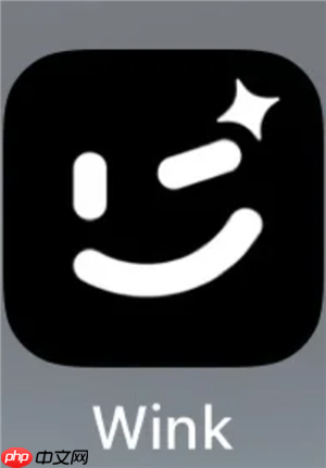wink画质修复是免费的吗 wink画质修复一天能用几次