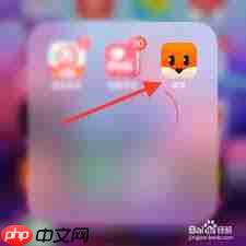 探探如何查看动态