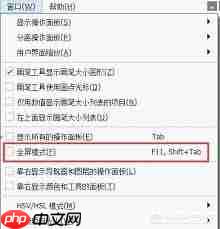 painter怎么取消全屏