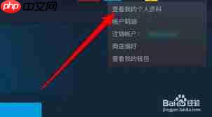 如何解除steam库存私密状态