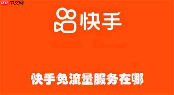 快手免流量服务在哪