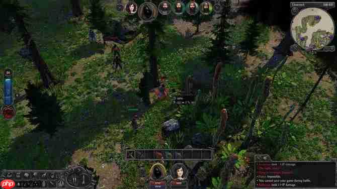 《剑湾奇旅》开发路线图公布 特别好评CRPG