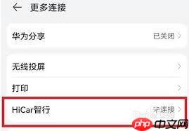 荣耀手机如何打开hicar