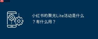 小红书的聚光Lite活动是什么？有什么用？