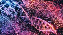 Does Genetic AI Take Us To The Edge Of Hybrid Intelligence?