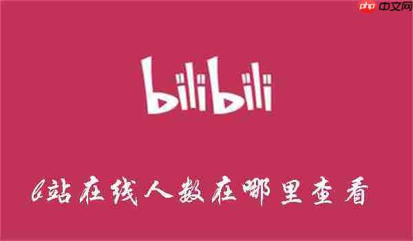 b站在线人数在哪里查看
