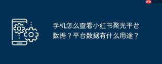 手机怎么查看小红书聚光平台数据？平台数据有什么用途？