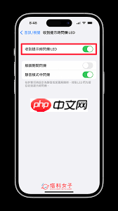 iPhone13如何开启来电闪光提醒