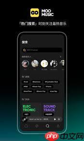 moo音乐缓存如何清理