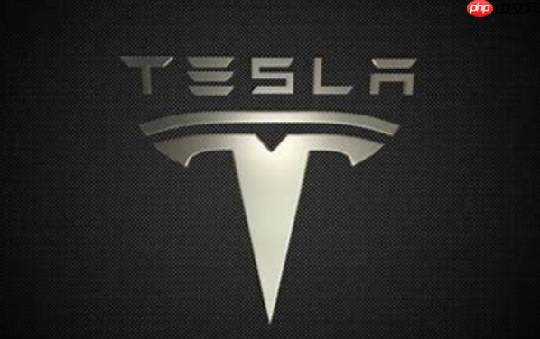 特斯拉Robotaxi即将到来 自动驾驶领域的一场豪赌？