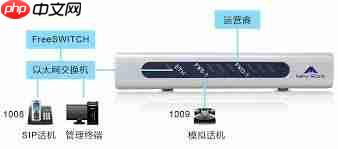 freeok网站入口在哪