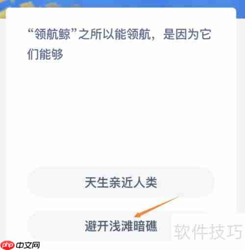 领航鲸的领航秘密：它们能够做到的原因