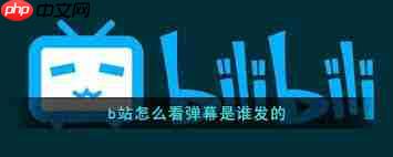 哔哩哔哩如何查看弹幕发送者