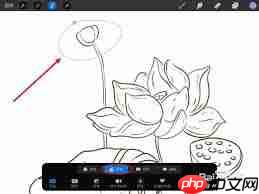 procreate如何选区移动