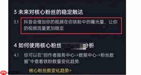 抖音铁粉是什么