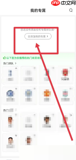 爱奇艺体育专属球队在哪里添加